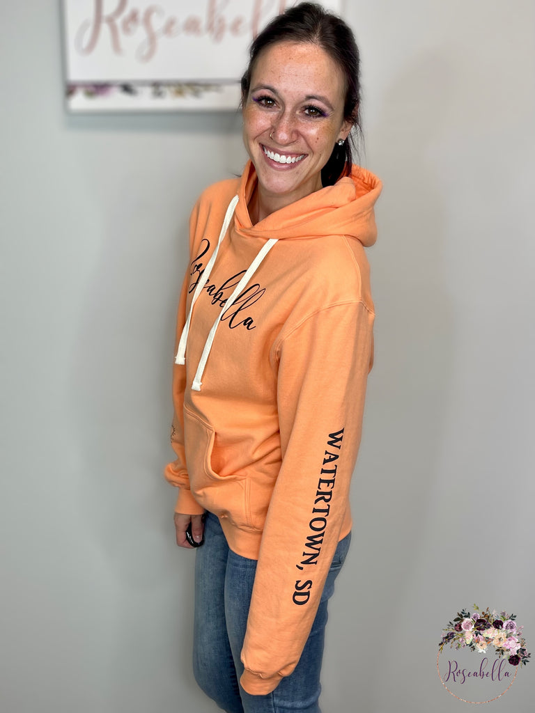 S & XL ONLY Be the Sunshine Hoodie